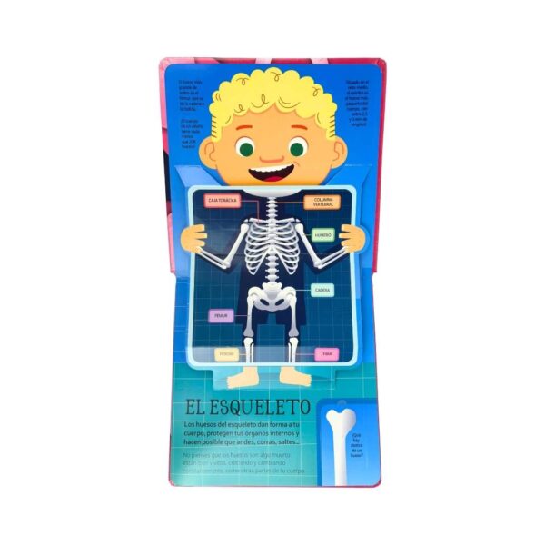 Cuerpo humano - POP UP - Imagen 4