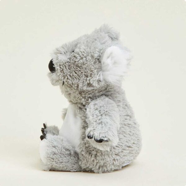 Koala - Peluche Térmico - Imagen 2