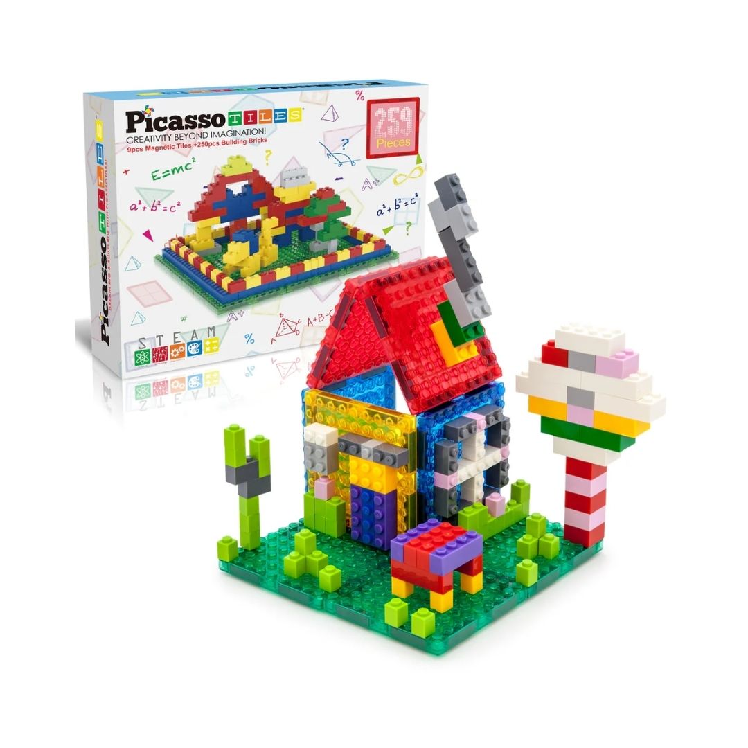 Ladrillos de construcción (250 piezas) y piezas magnéticas(9 piezas)