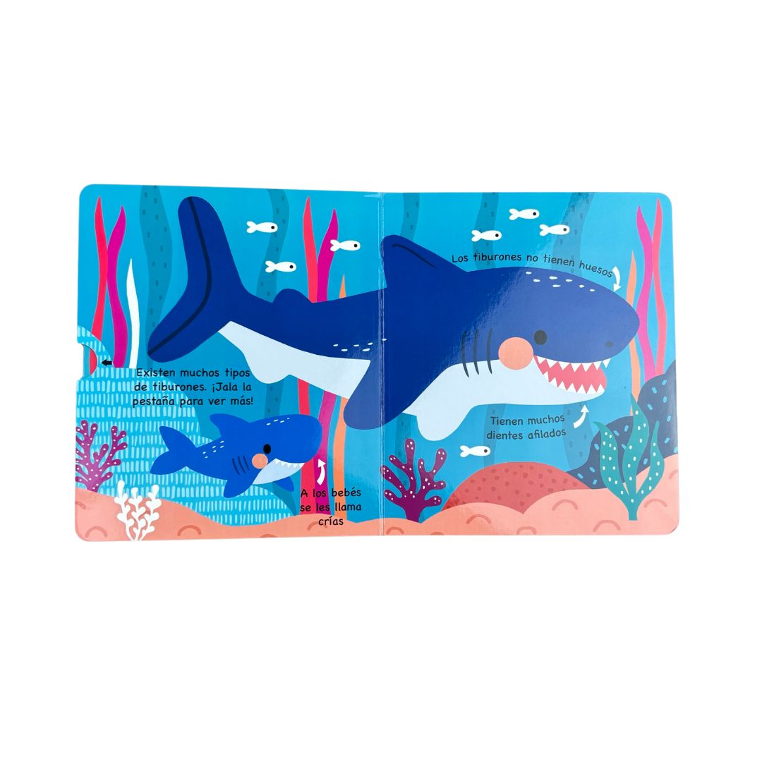 Animales del Océano - Jala Pestañas - Imagen 3