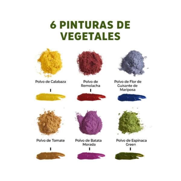 Pintura de dedo Vegetal en Polvo - 6 Colores - Imagen 3