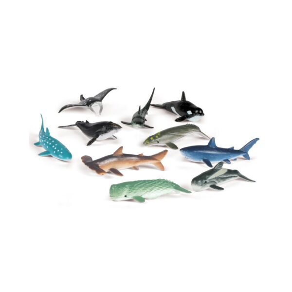 Animales del Oceano para contar - set de 50 - Imagen 3