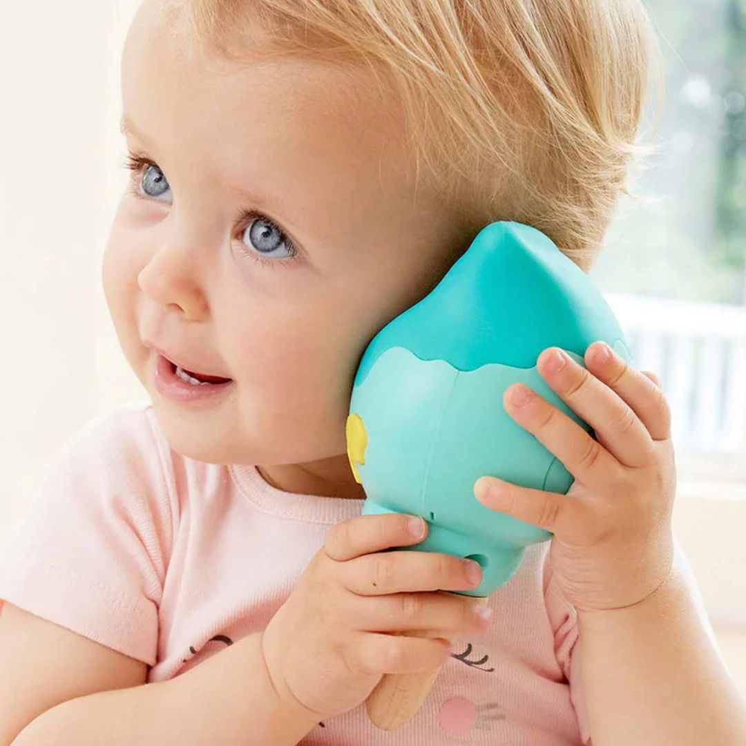 Concha de Sonidos - Imagen 2