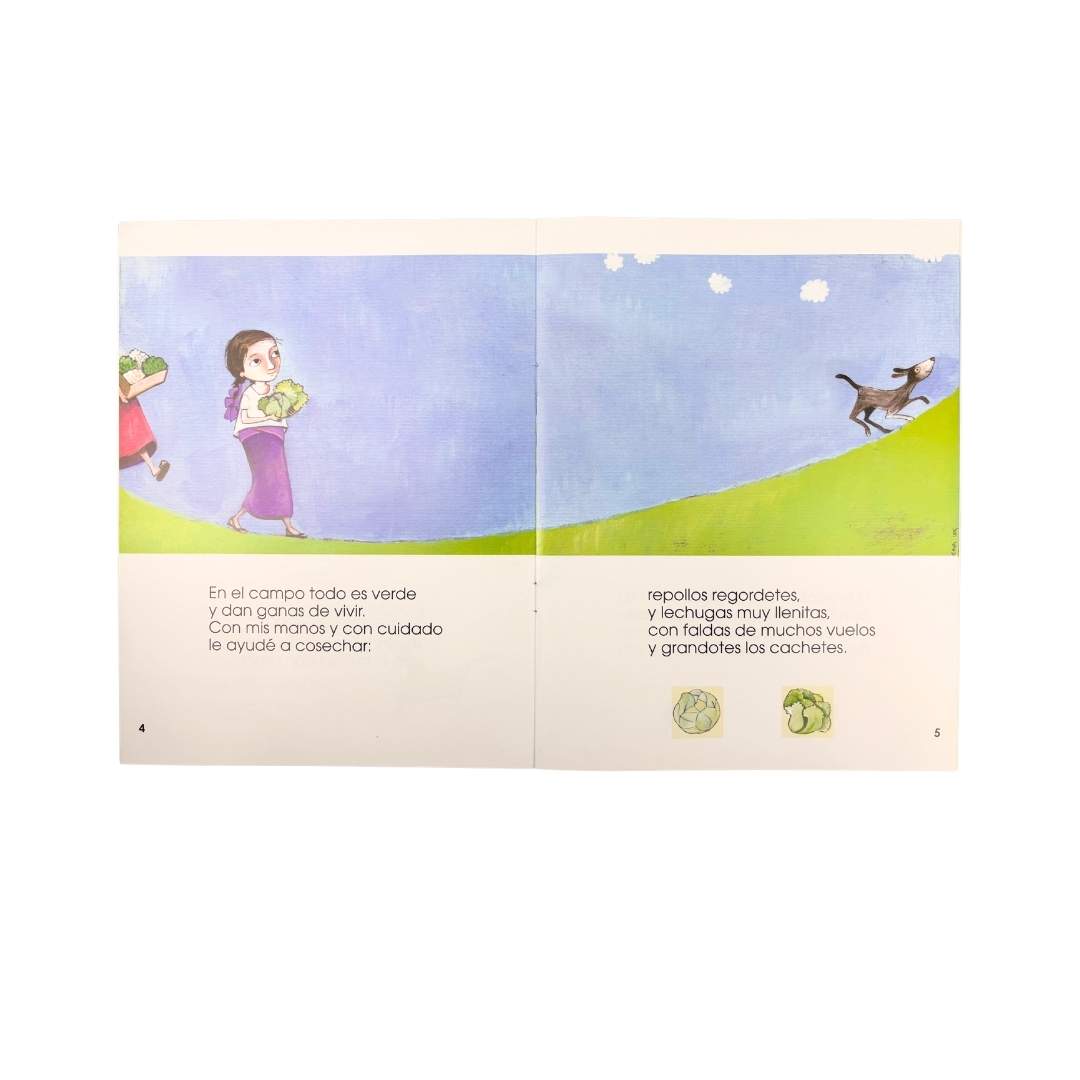 Colección Pica Pica - Imagen 3