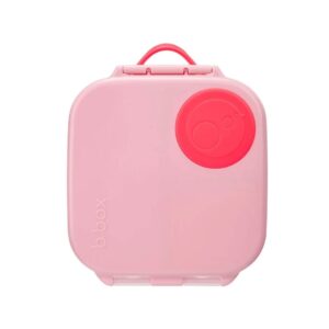 Mini Lunchbox - Flamingo Fizz