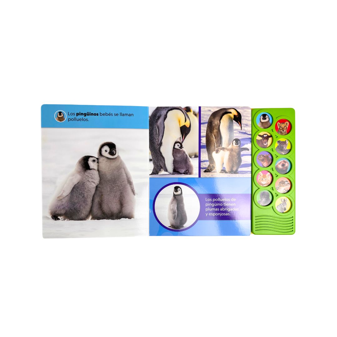 Animales Bebes - National Geographic Kids - Imagen 2